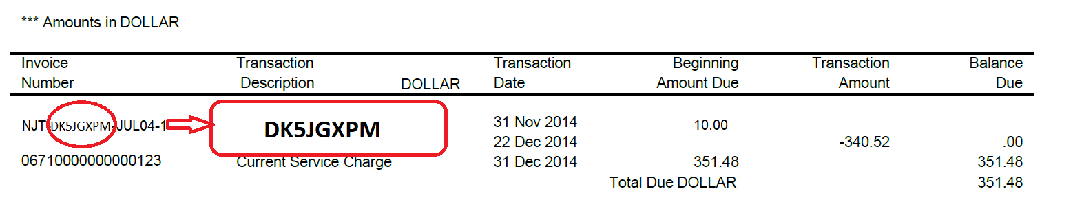 Screenshot of a credit card statement table. There is a callout indicating that your Account ID can be found on the Invoice Number of a transaction from New Jersey Transit. It is the 8 characters following the letters NJT in the Invoice Number.